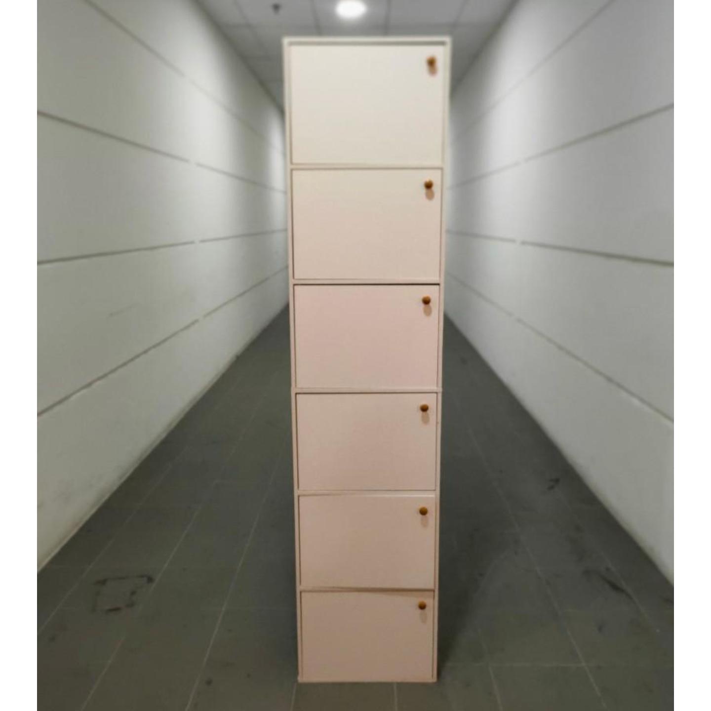 LEONIDAZ II Shoe Cabinet in WHITE (6 Doors)