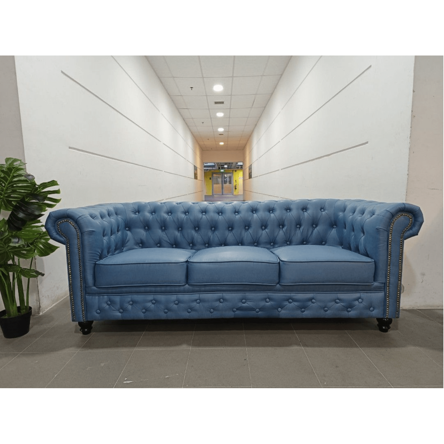 CAT FRIENDLY SALVADORE X 3 Seater Sofa in CERULEAN BLUE TECH LEATHAIRE