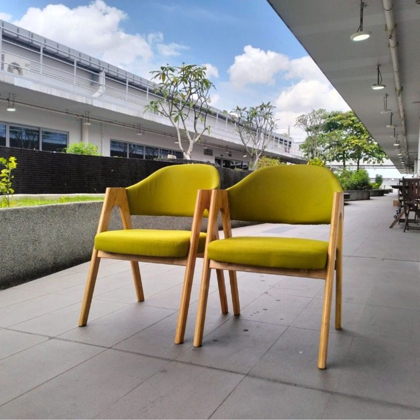 SCHHOEK Dining Armchairs (set of 2)