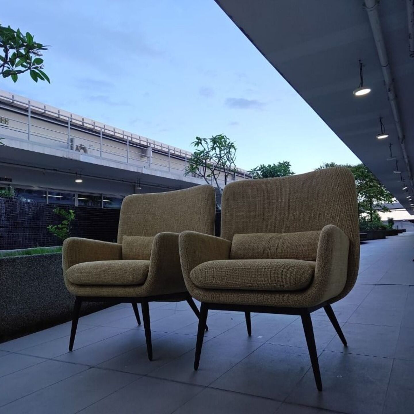 (ULTIMATED PRICE) 2 x LISAN Armchairs in MUSTARD FABRIC