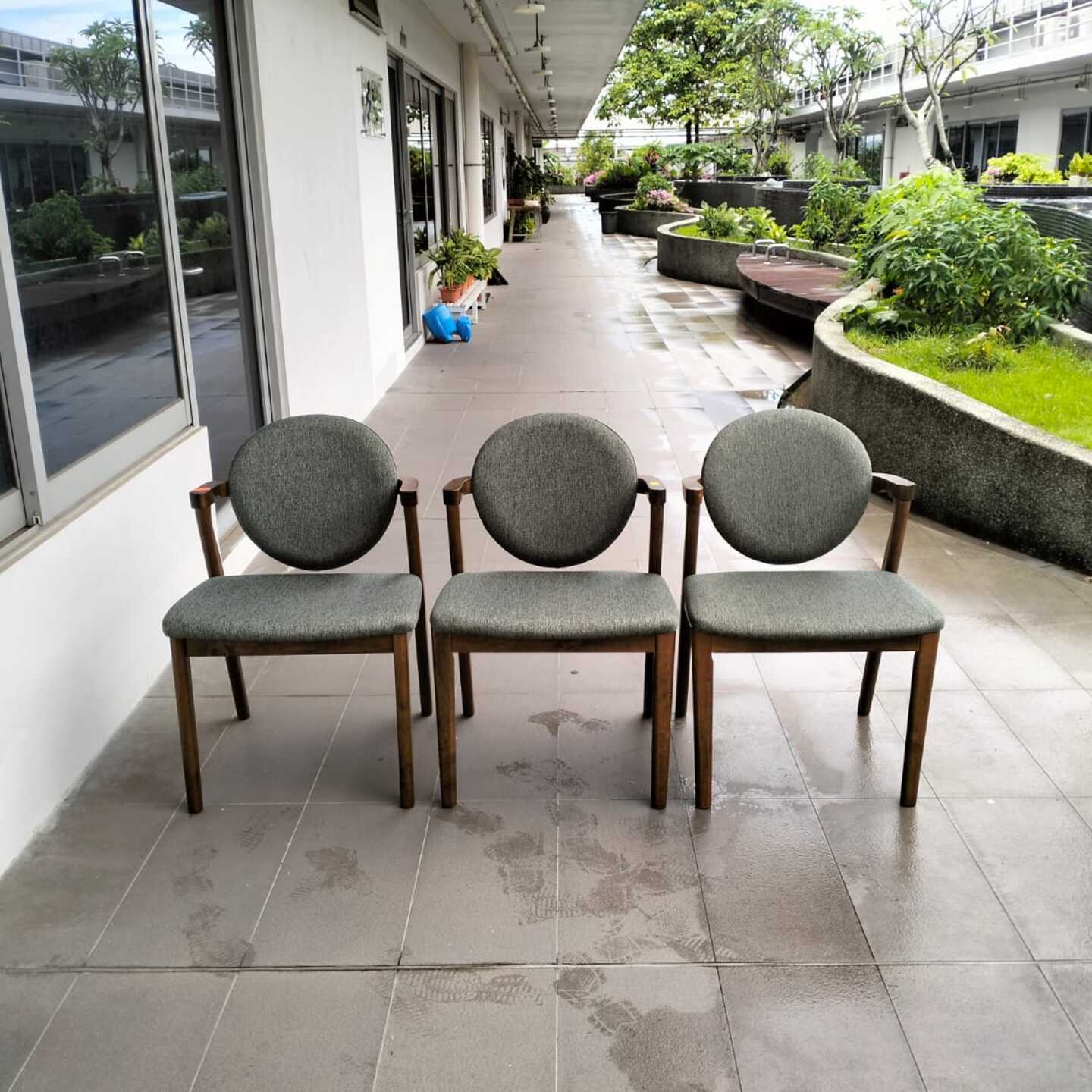 3 x CHECKERS Dining Chairs in WALNUT with Grey Cushion