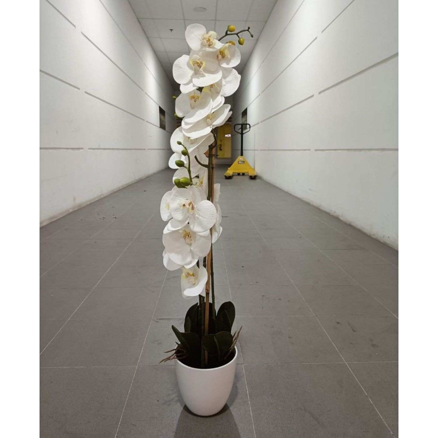 WHITE PHALAENOPSIS Orchid with Pot Artificial Plant