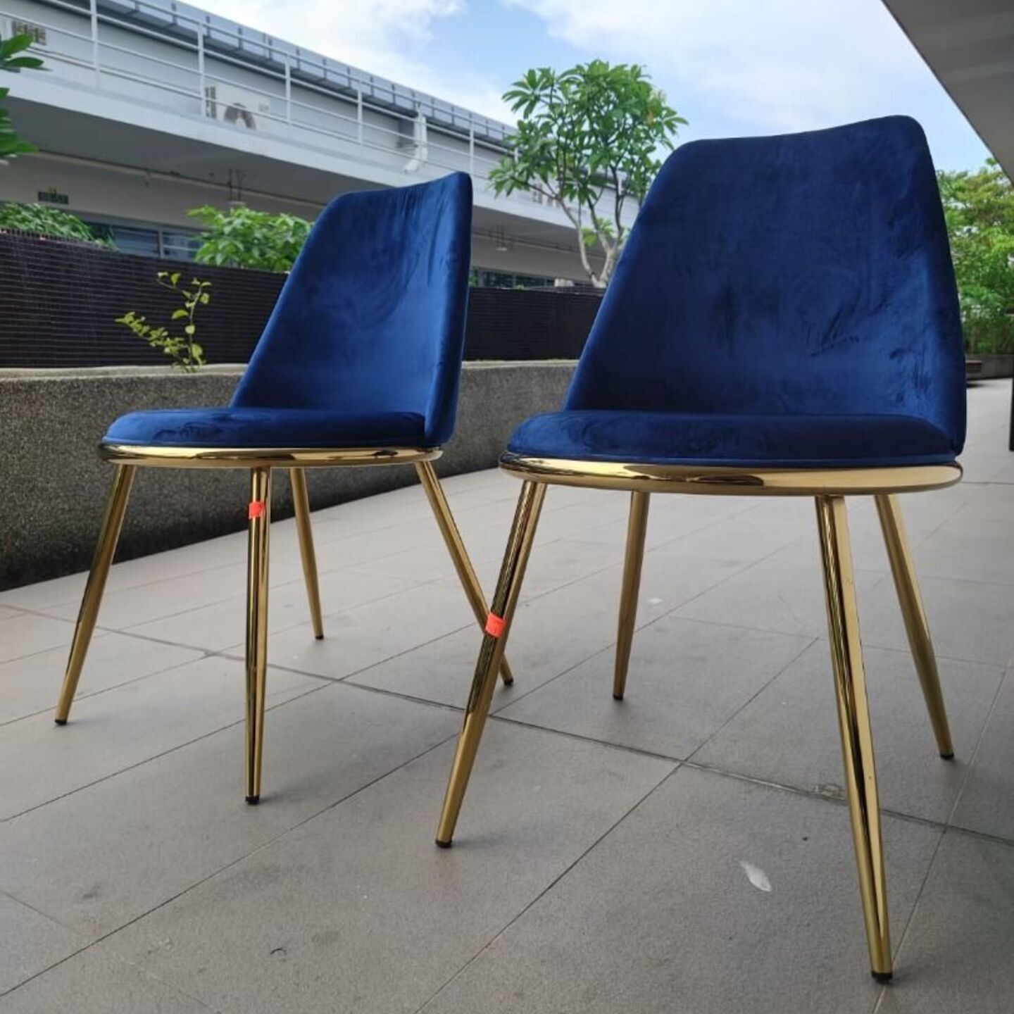 2 x EVIE Modern Dining Chair in VELVET SAPPHIRE BLUE and Gold Frame