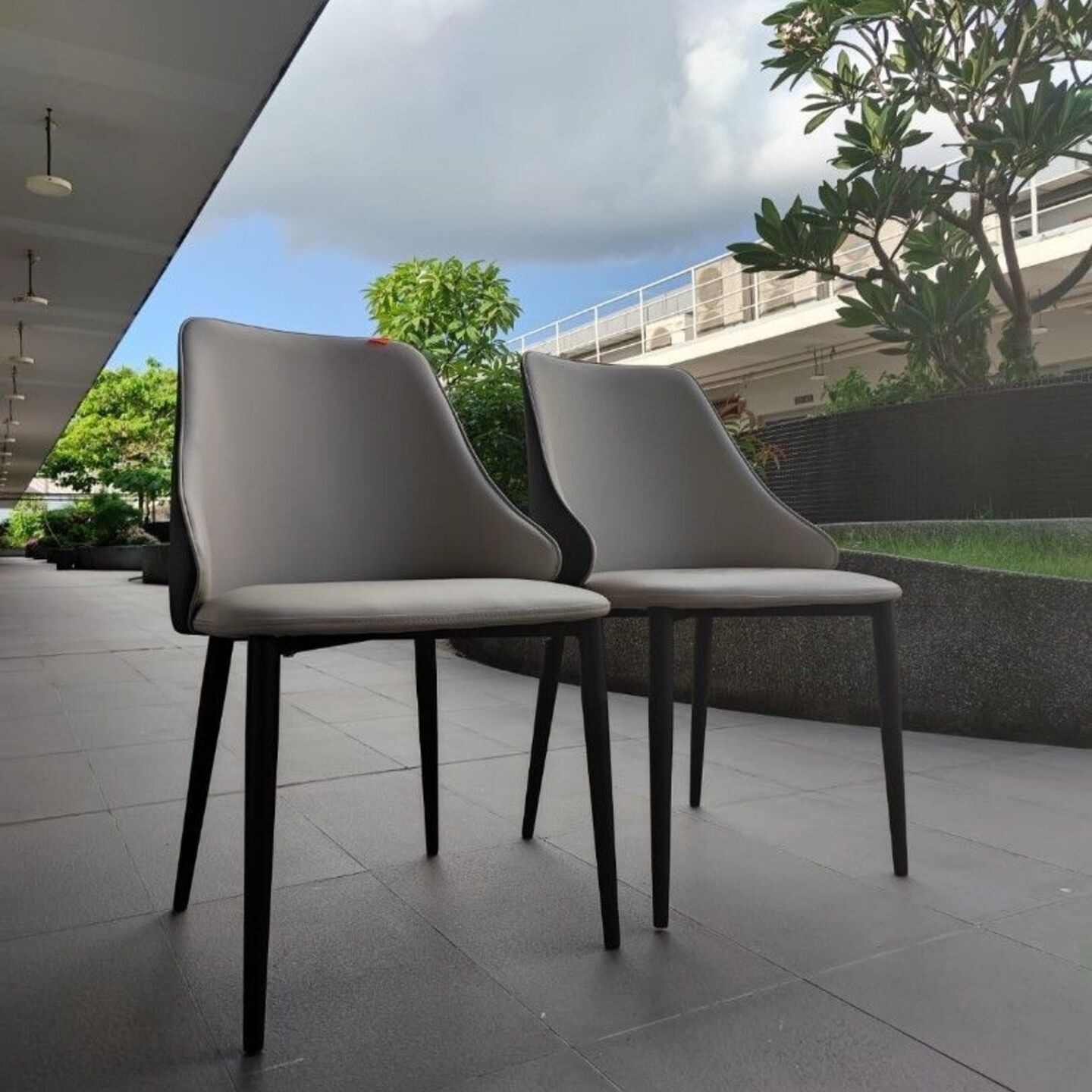 ISABEL Dining Chairs (set of 2)