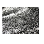 PROTONS Carpet 2m x 1.4m