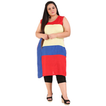 Multi Colour Straight Rayon Kurti