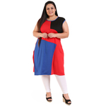 Multi Colour Straight Rayon Kurti