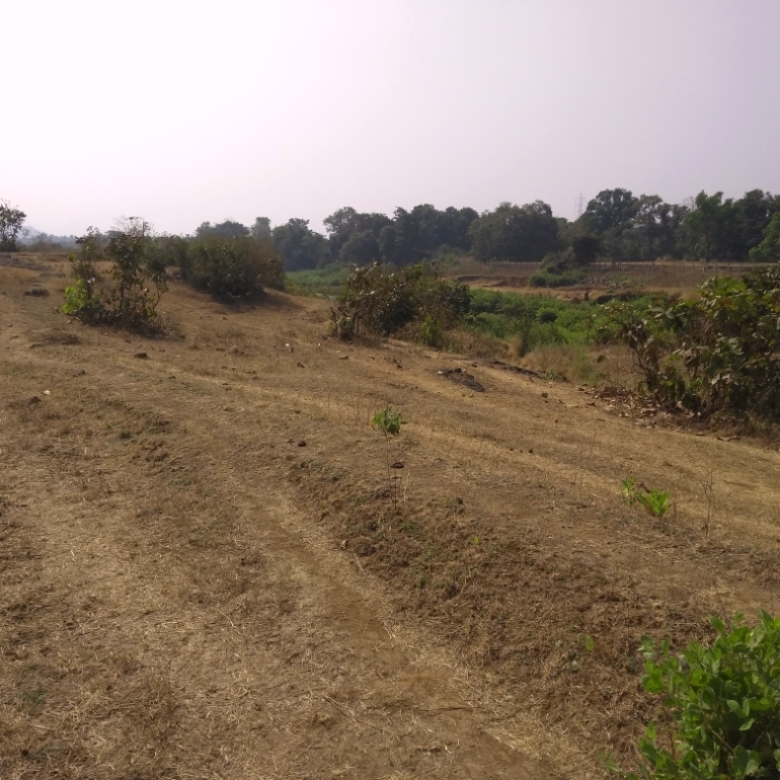 10.5 Acres of Agricultural Land. 
