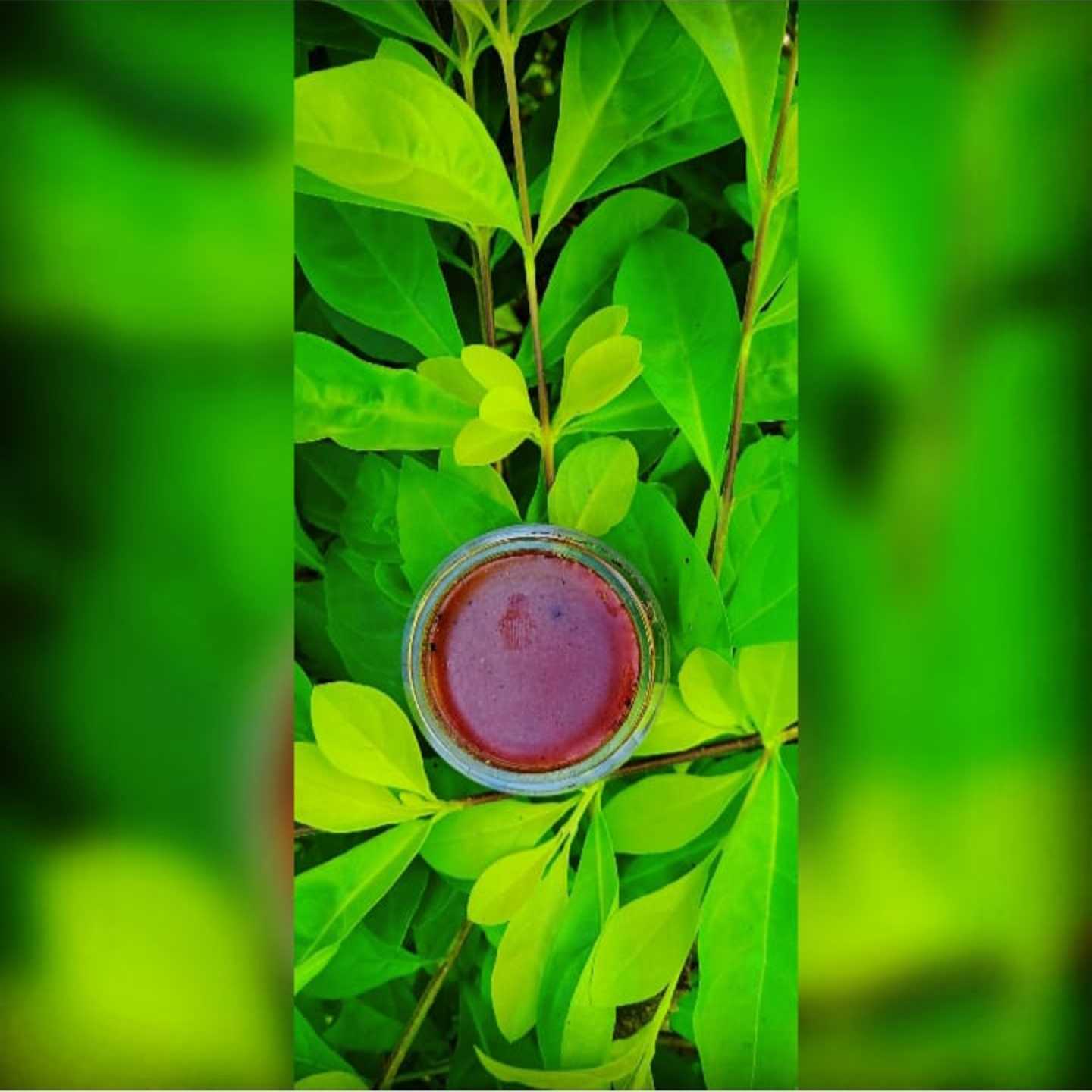 Beetroot lip balm.. 8gm