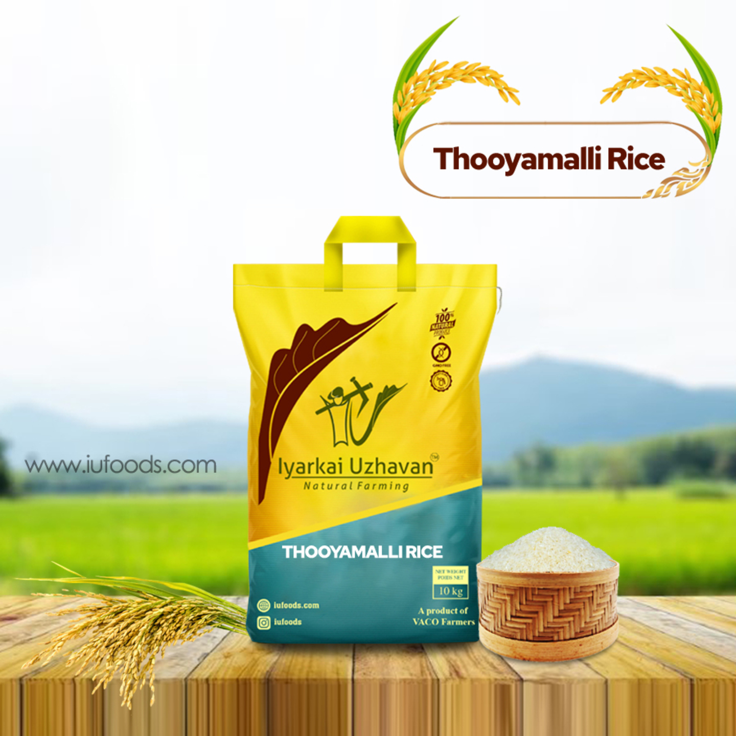  Thooyamalli Rice (தூயமல்லி அரிசி)