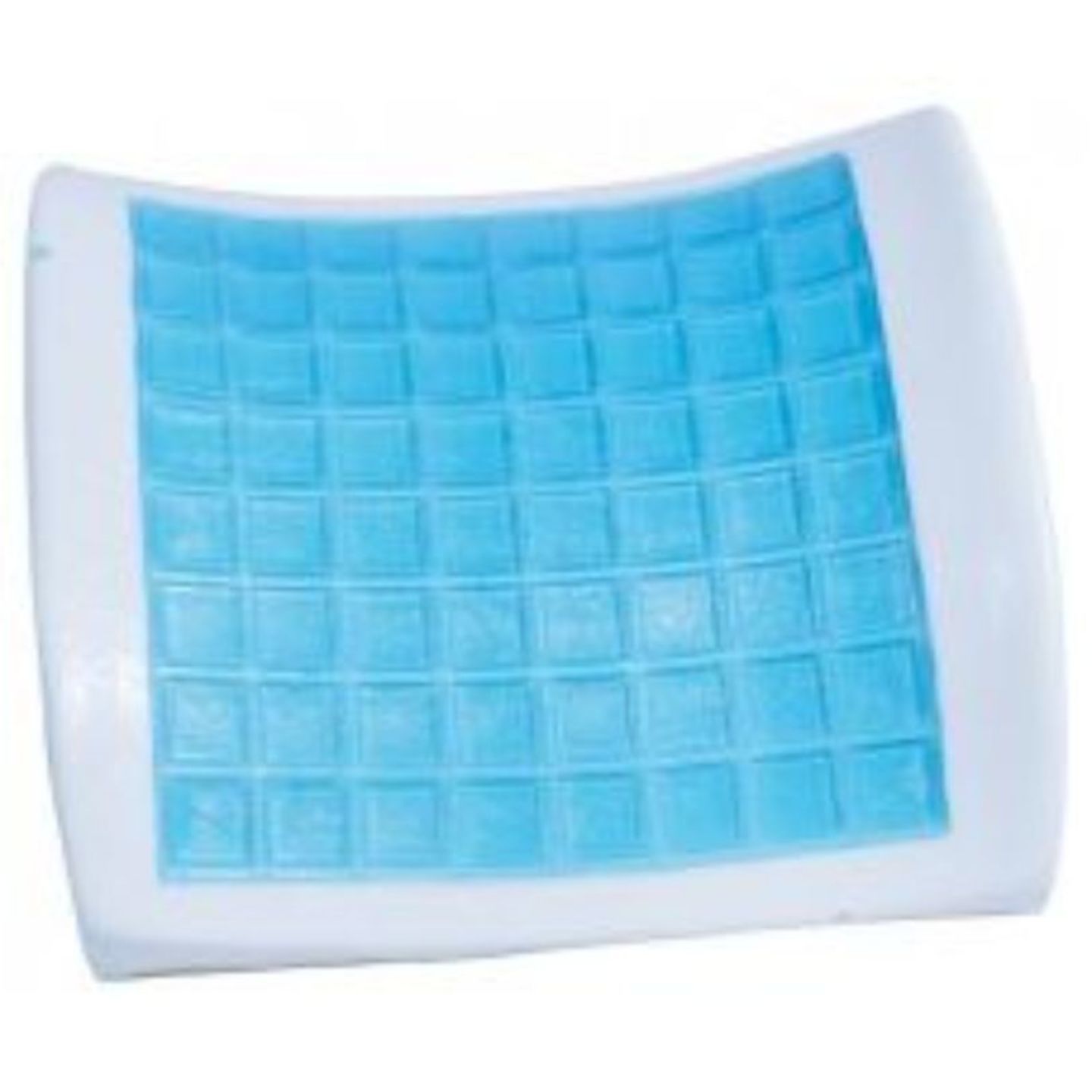 Back Buddy Pillow with Gel