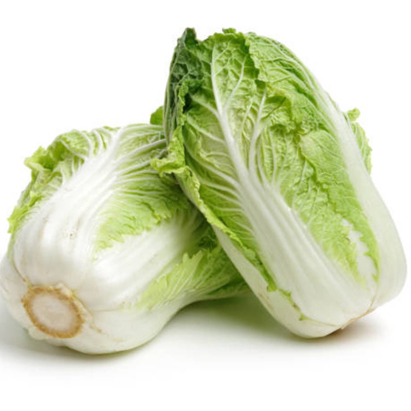 Chinese Cabbage - 1 pack