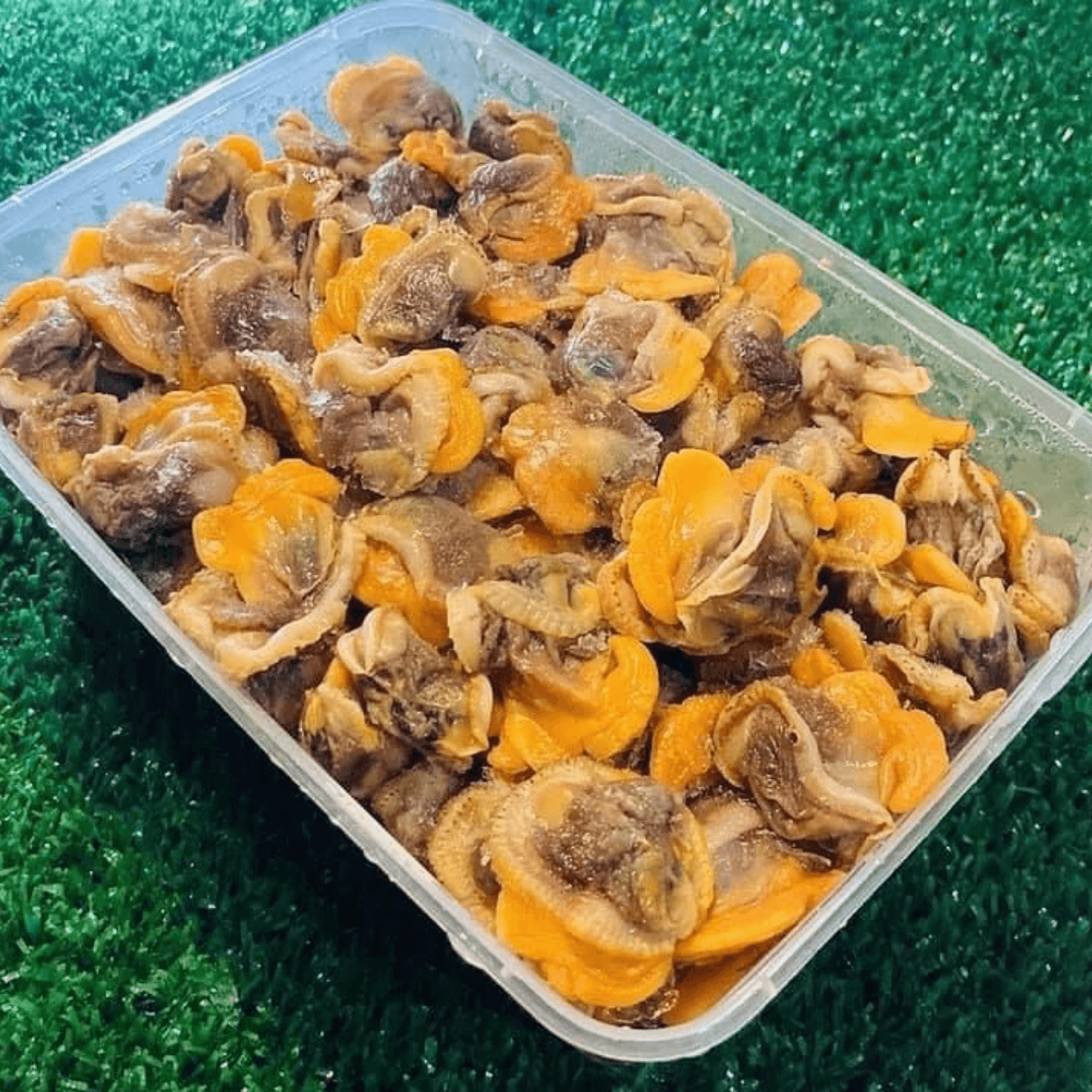 82B Trading - Boiled Cockles Meat  Isi Kerang Rebus - 1kg