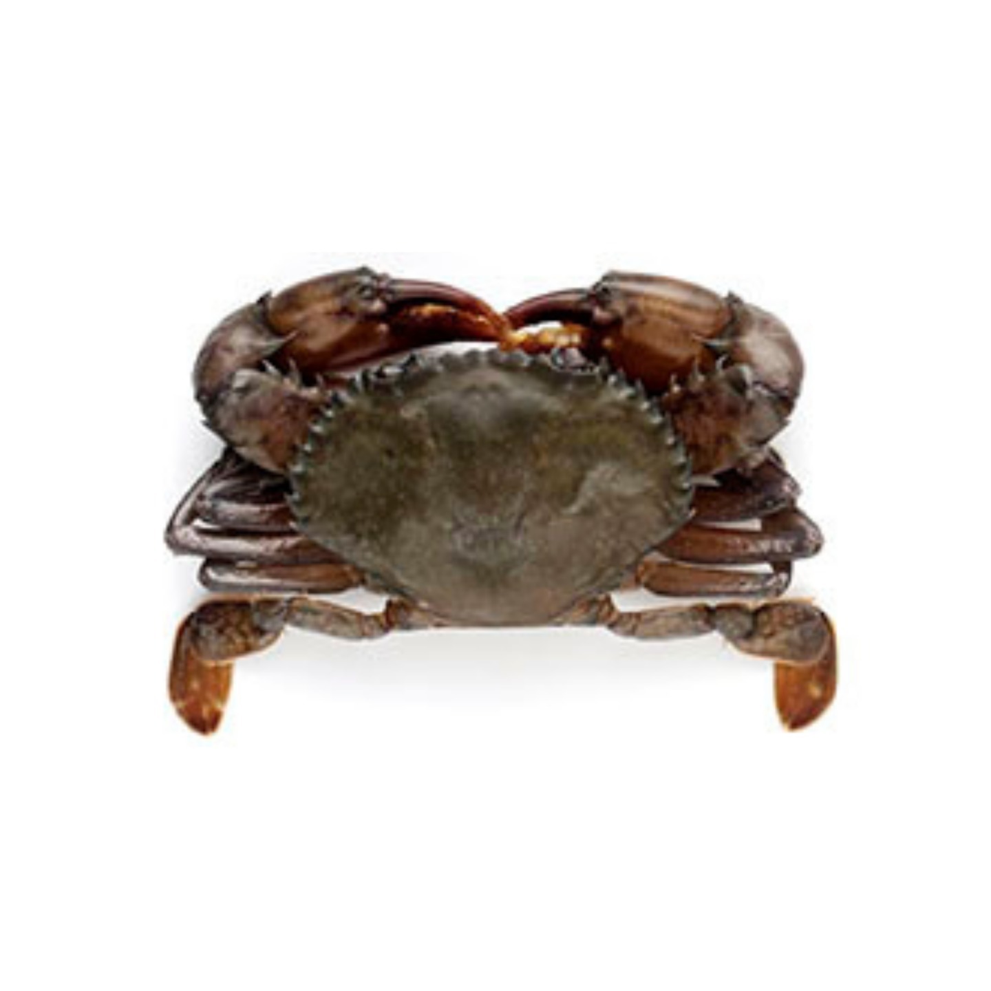 82B Trading - Soft Shell Crab / Ketam Tempurung Lembut - 1kg
