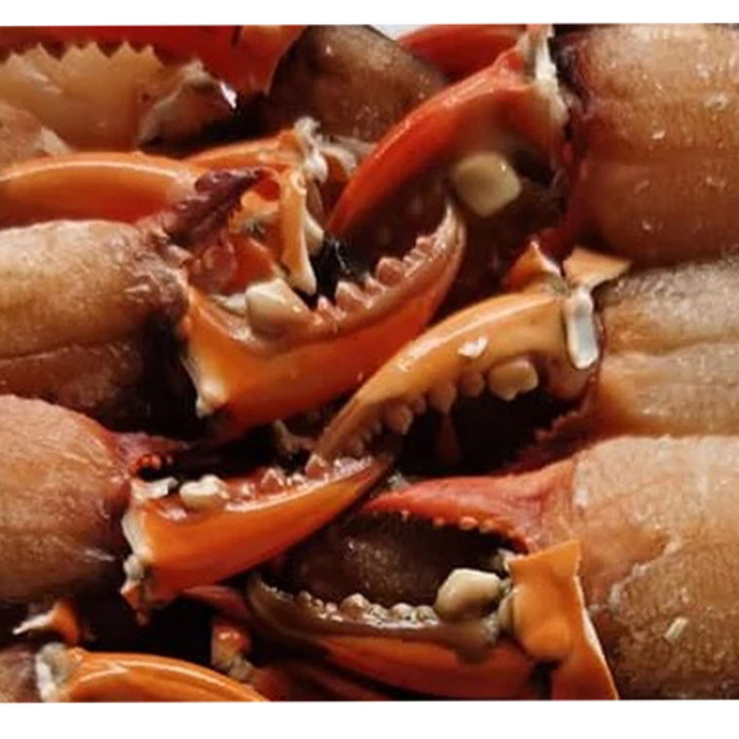 82B Trading - Mud Crab Claw Meat  Isi Sepit Ketam - 500gm L Size