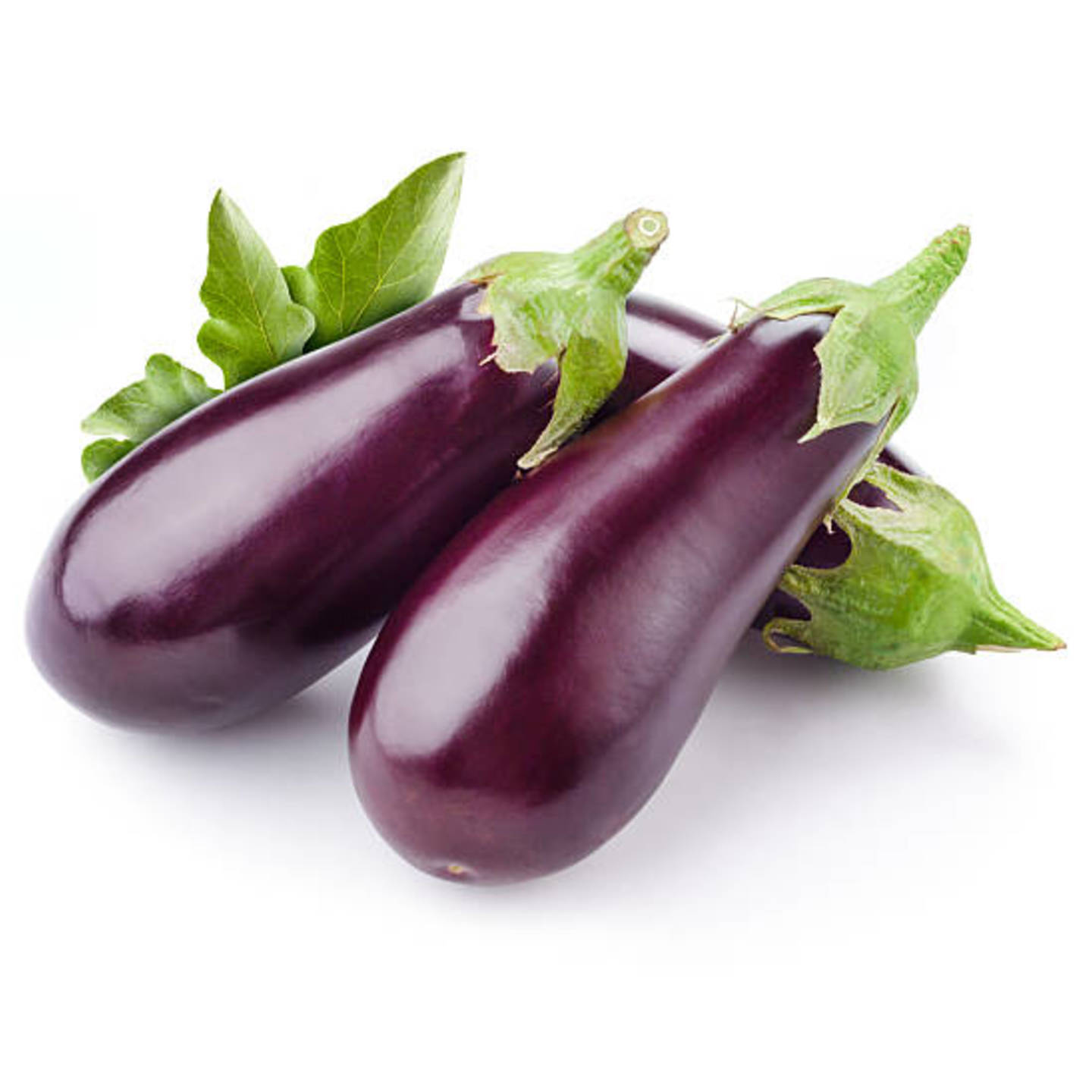 Eggplant  Terung - 1pack