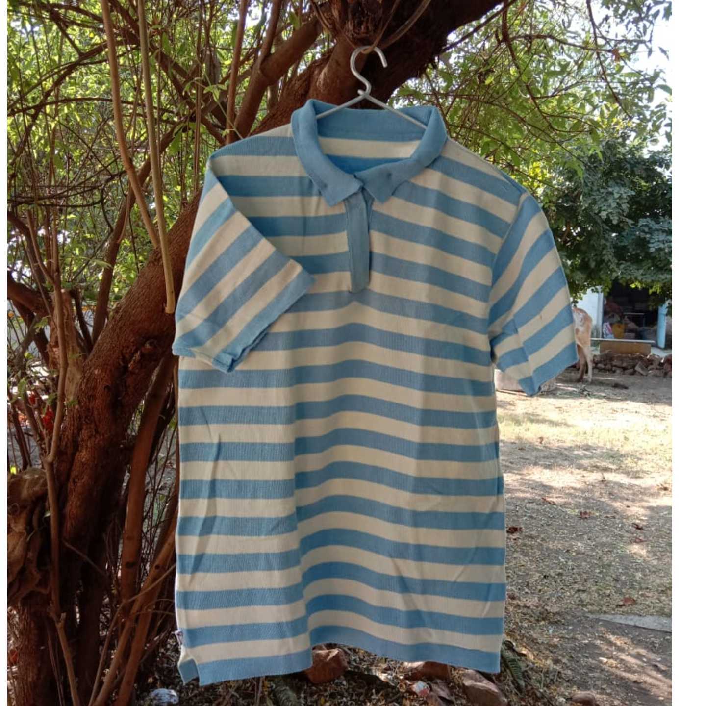 Light Blue Stripes Polo T-Shirt