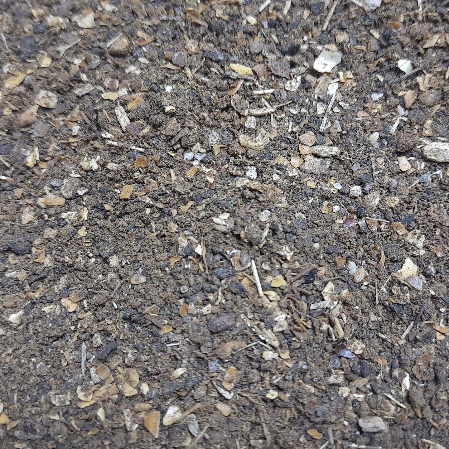 500gms Neem Seed Powder From Raw Seeds-No Oil Extracted