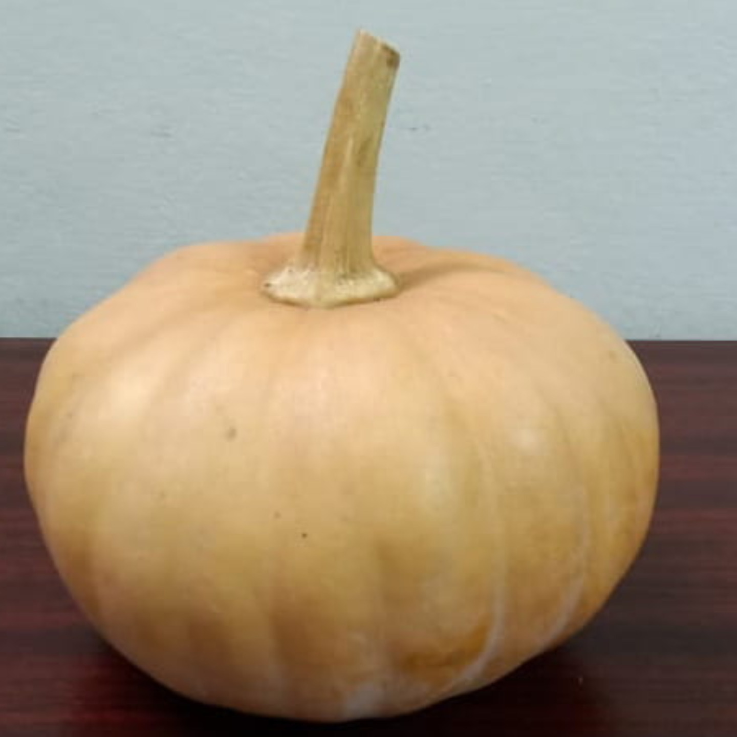 10 seeds Pumpkin Gummadikaya    KUMBALAKAI