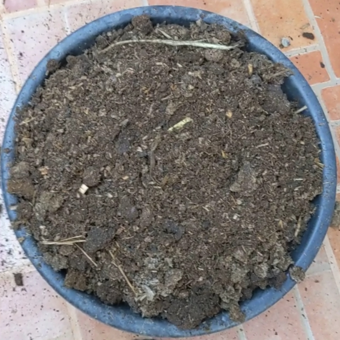 5kg Cow Manure aged