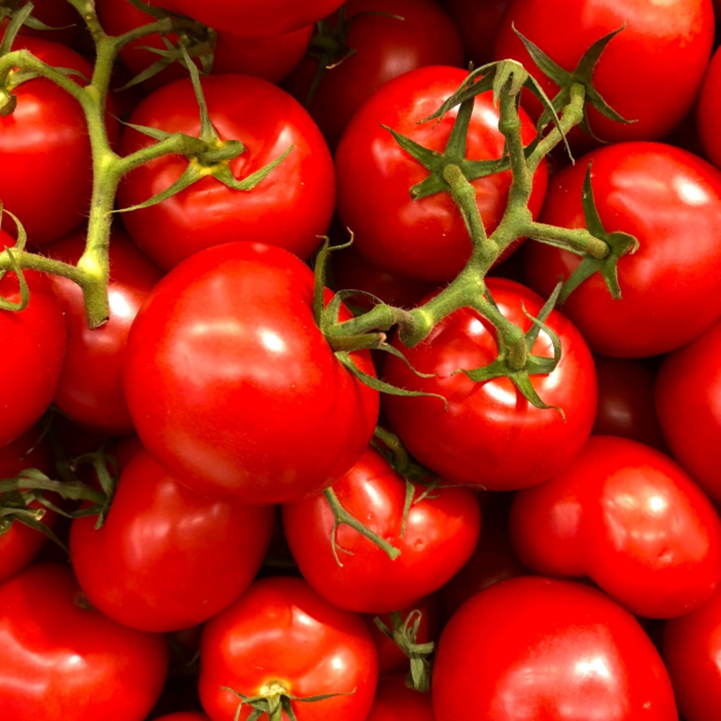 Tomato Round టమాటో రౌండ