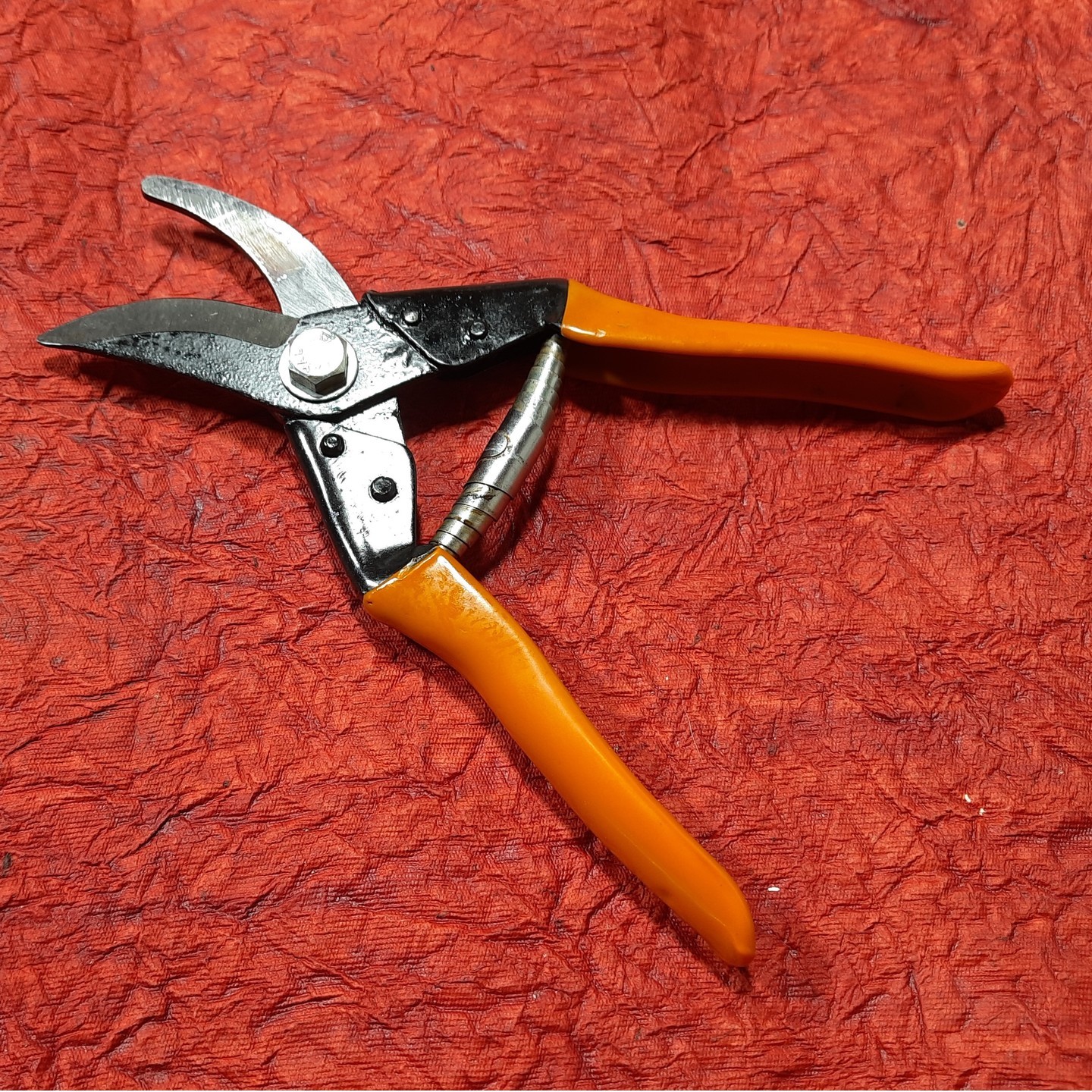 Major Cut Pruner for gardening