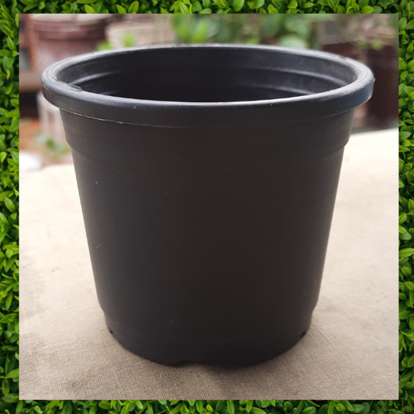 3.5 Black Pot