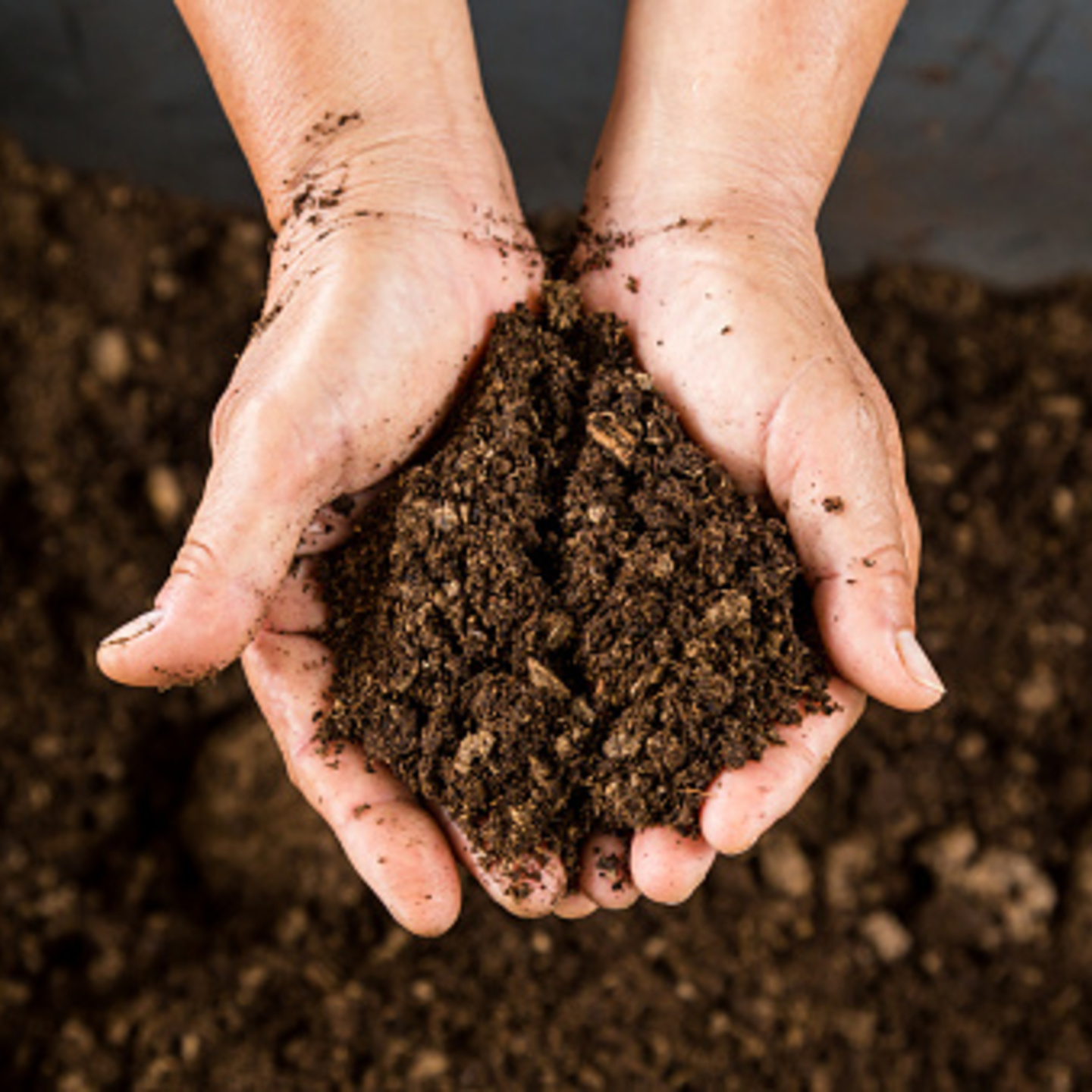 10kg Soil Mix