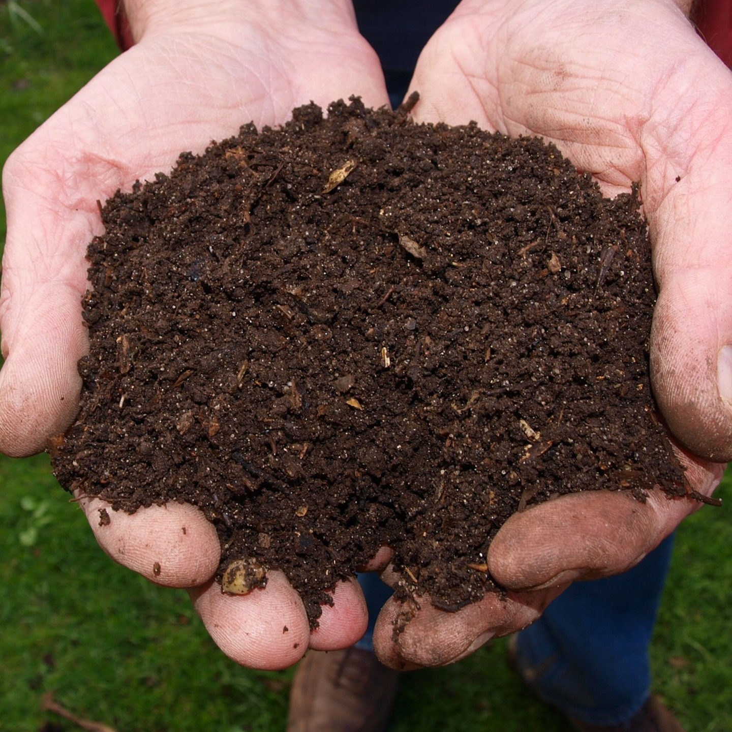 High Quality Vermicompost 1Kg, 5Kg,10kg, 25Kg