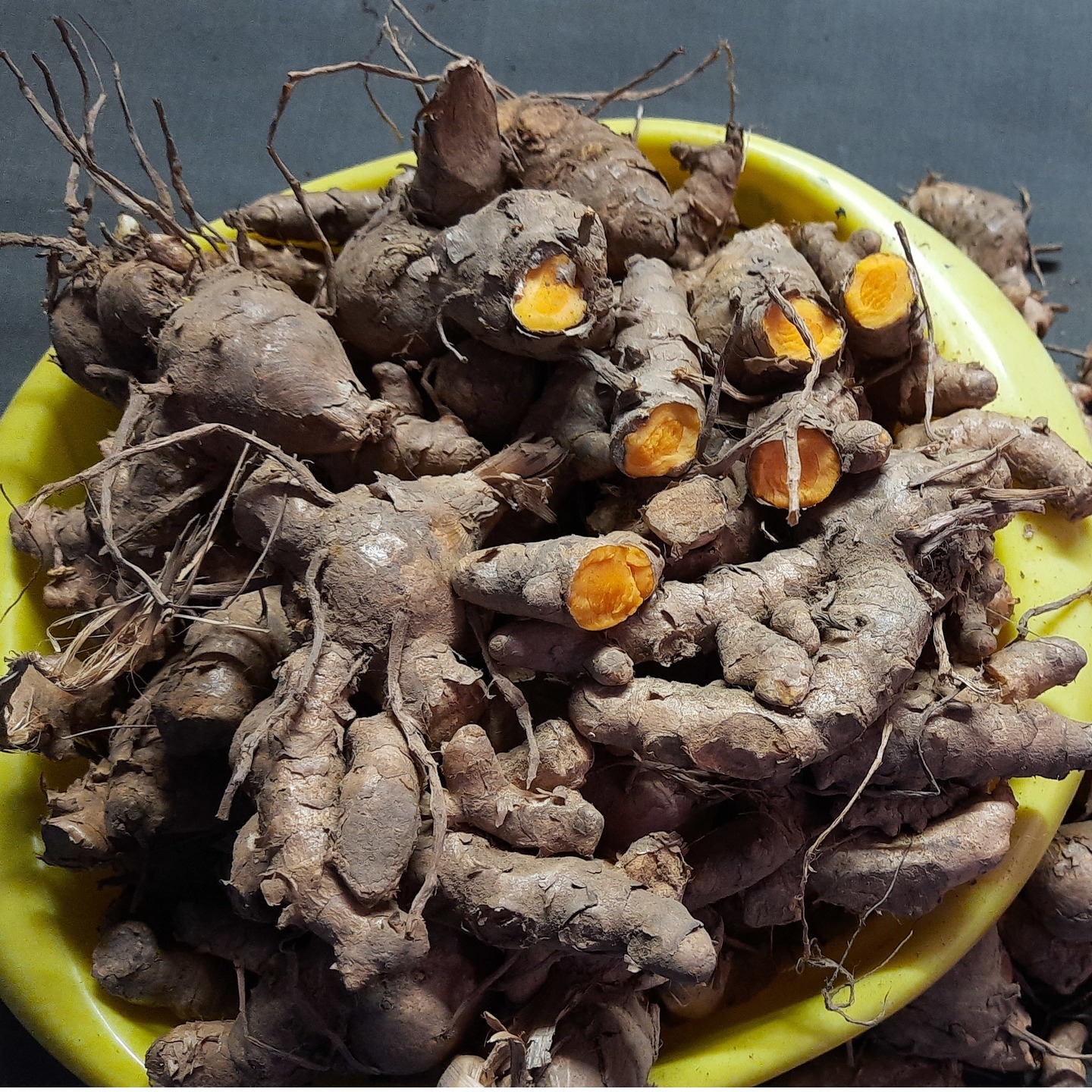1kg Lakadong Turmeric Seed Rhyzomes