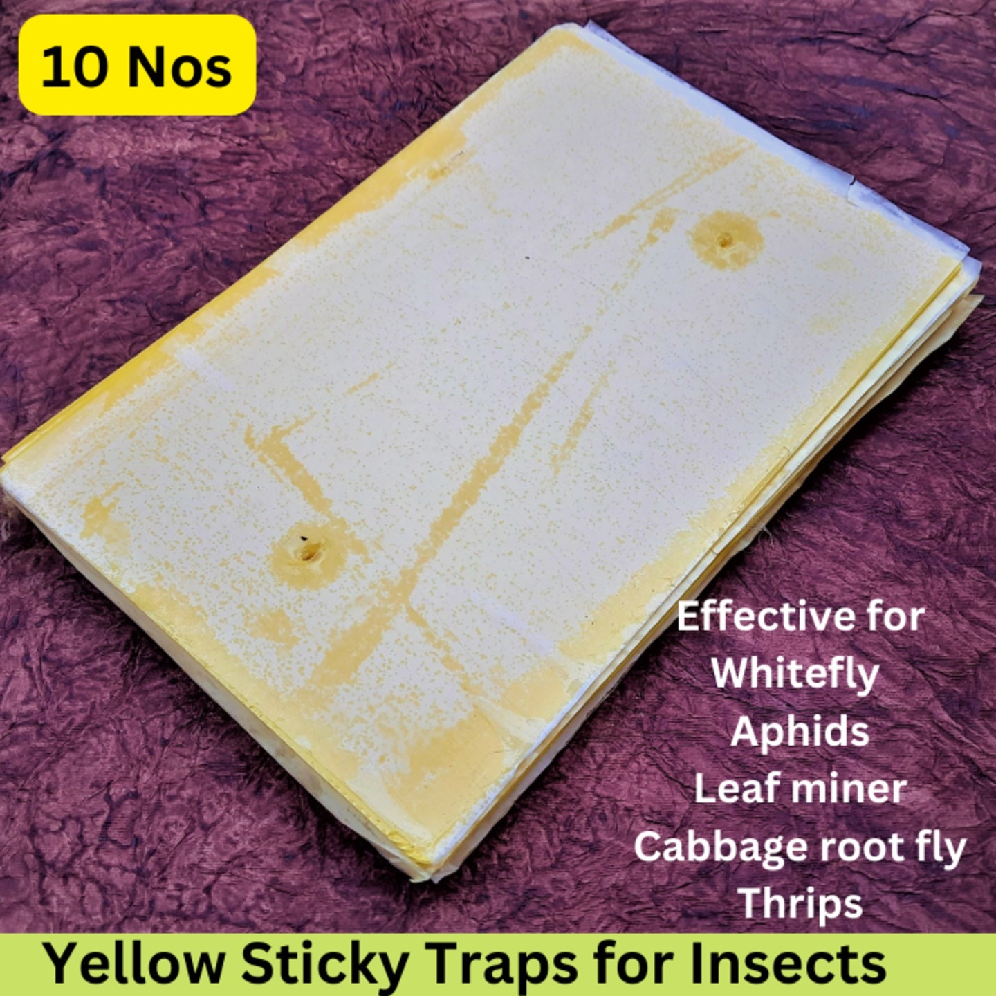 Yellow Sticky Trap for Insects A4 size 210297 10 Nos pack