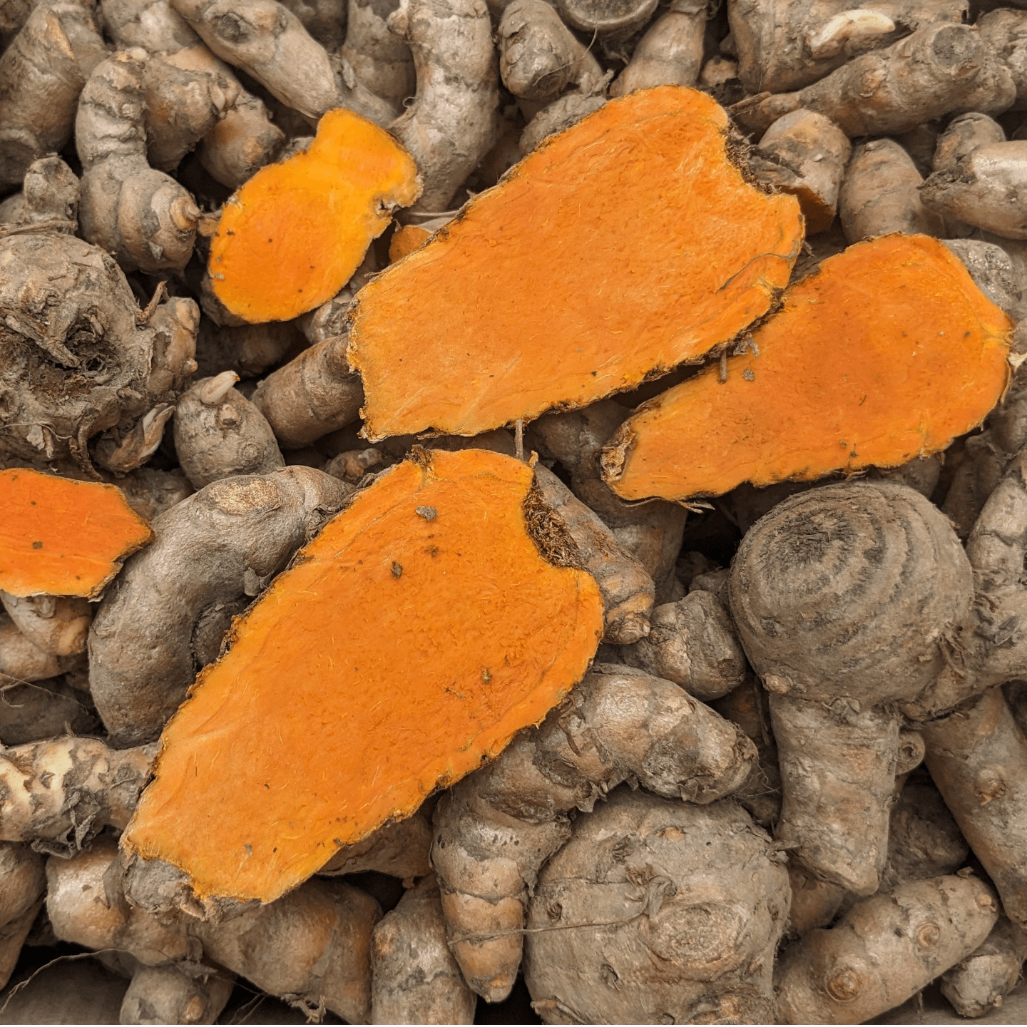 100gms Highest Curcumin Content Lakadong Turmeric Seed Rhyzomes లకాడాంగ పసుపు కొమములు