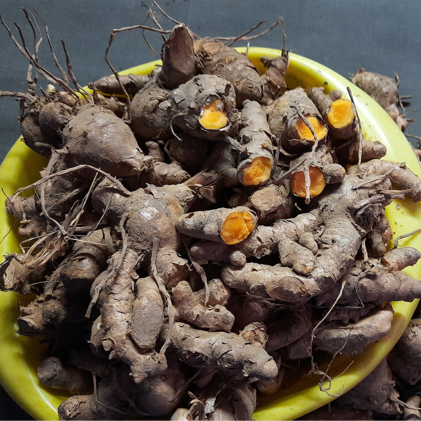250gms Lakadong Turmeric Seed Rhyzomes