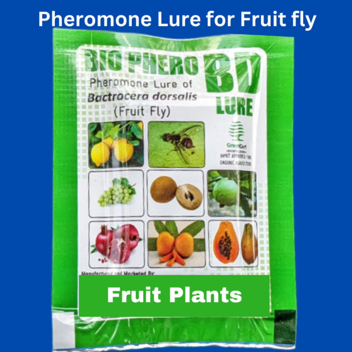 Pheromone attractant Lure Fruit Fly- Bactocera dorcalis occurs in Mango, Sapota,gauva,etc