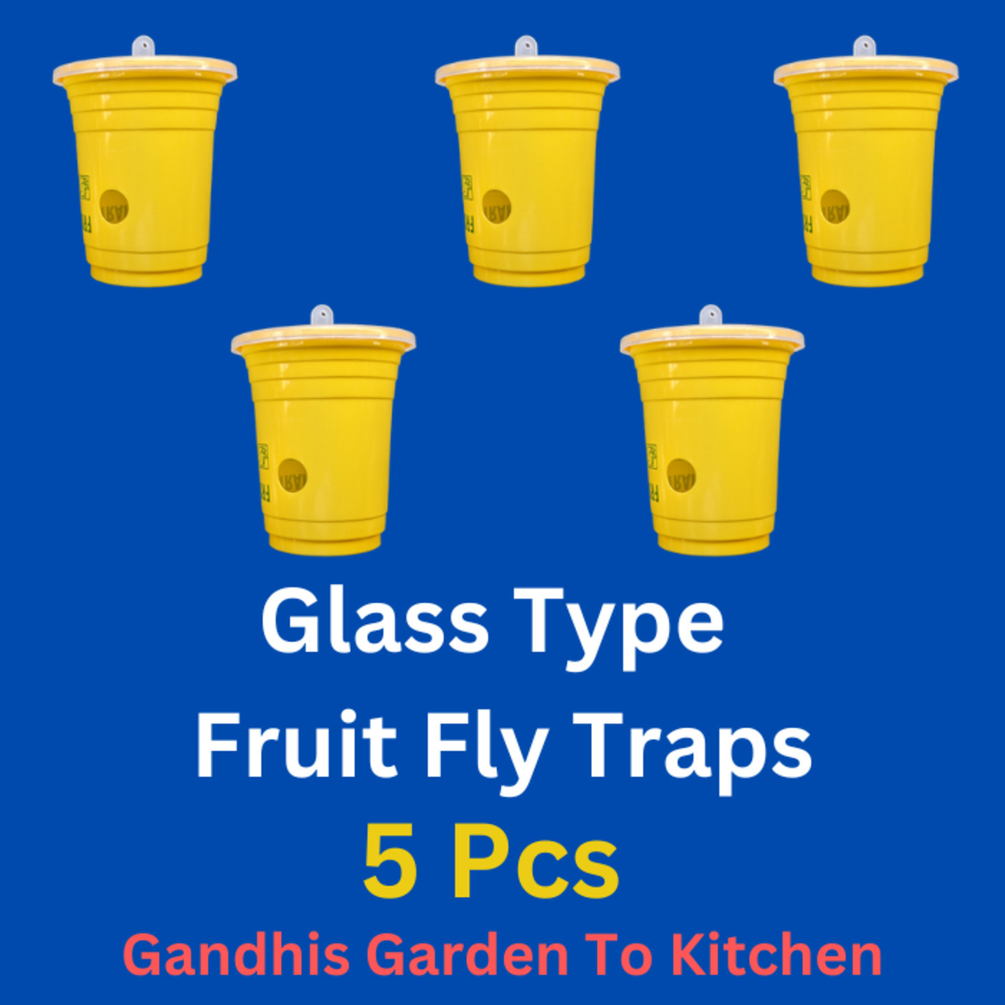 5pc Glass Type fruit Fly Trap  పండు ఈగ బుటటలు