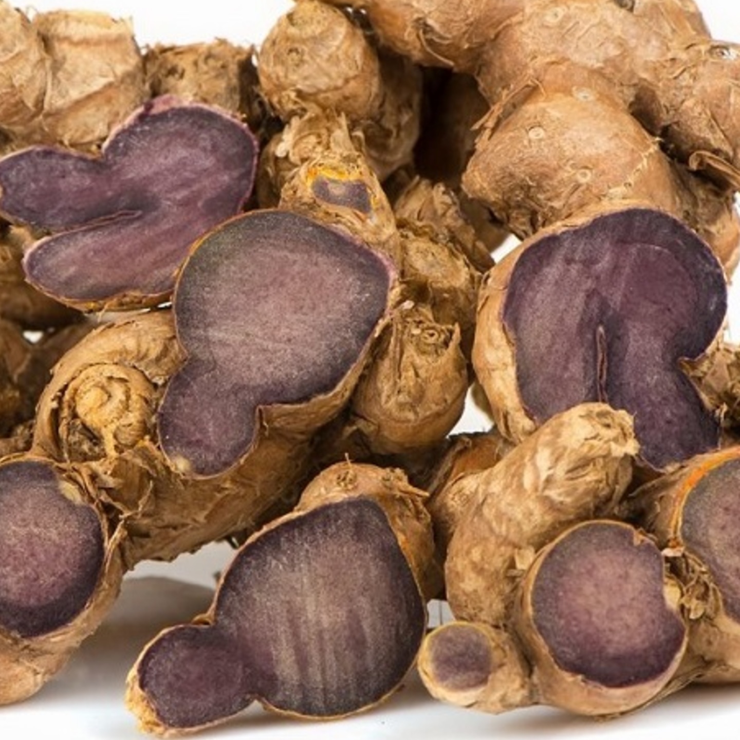 1g Black Ginger Seed Rhyzomes