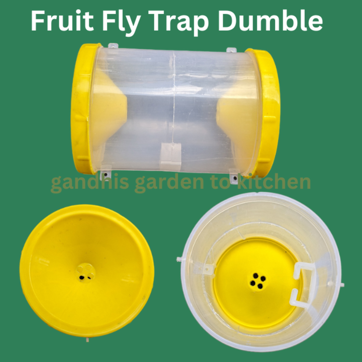Fruit fly traps for veg and fruit gardens dumble type