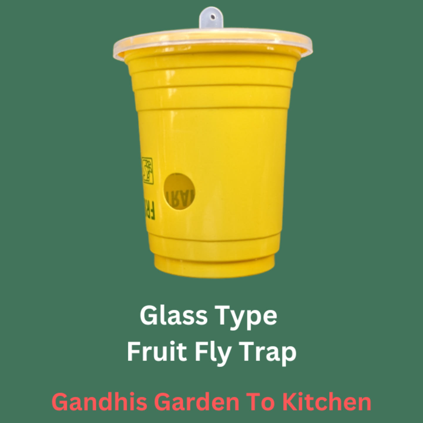 1pc Glass Type fruit Fly Trap  పండు ఈగ బుటటలు