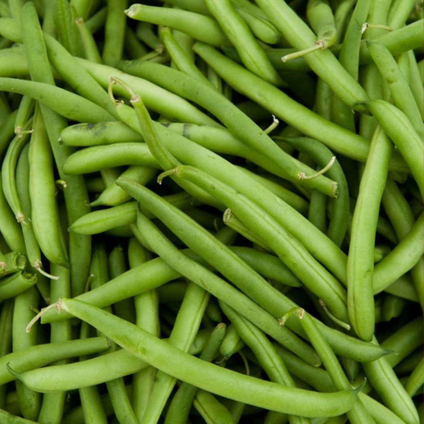 French Beans ఫరెంచ బీనస