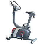 PROLINE 31700R RECUMBENT BIKE