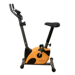 PROLINE 533B UPRIGHT BIKE