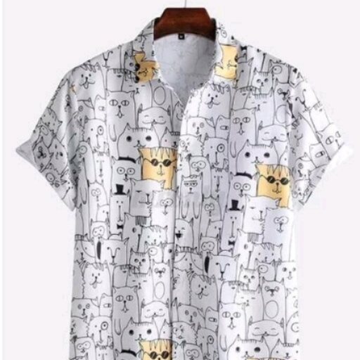 😺 print