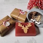 Reindeer Grapefruitty - Bundle of 5