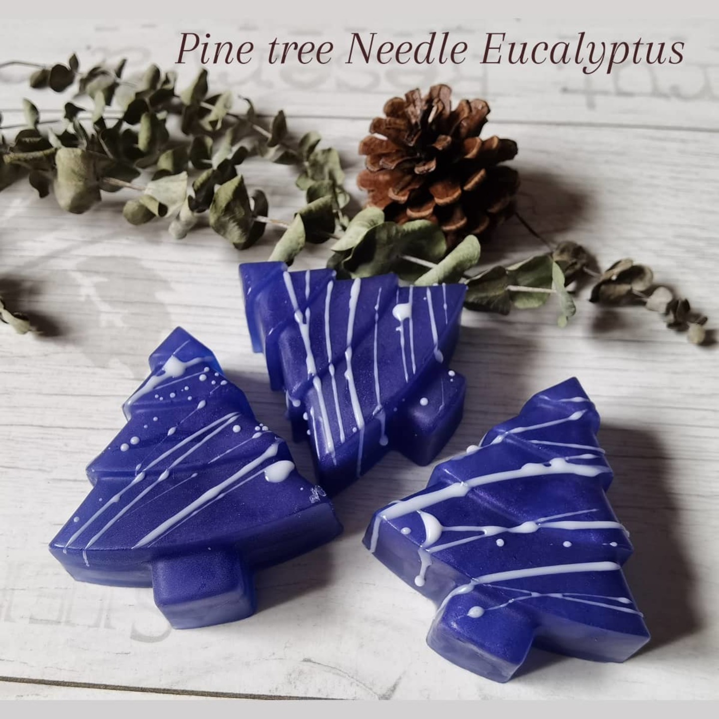 Pine-tree Needle Eucalyptus- Bundle of 10