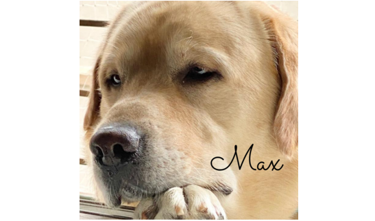 Max.png