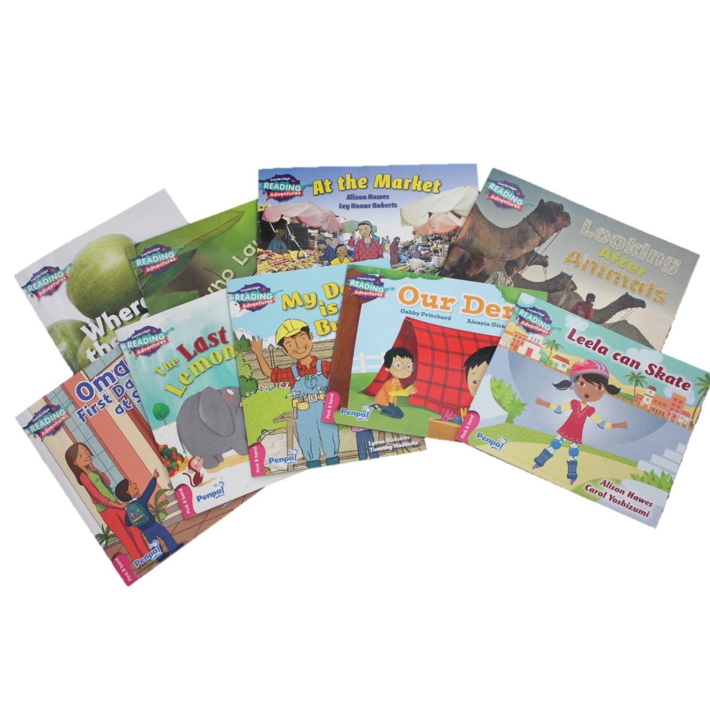 Pink B Band (9 books)