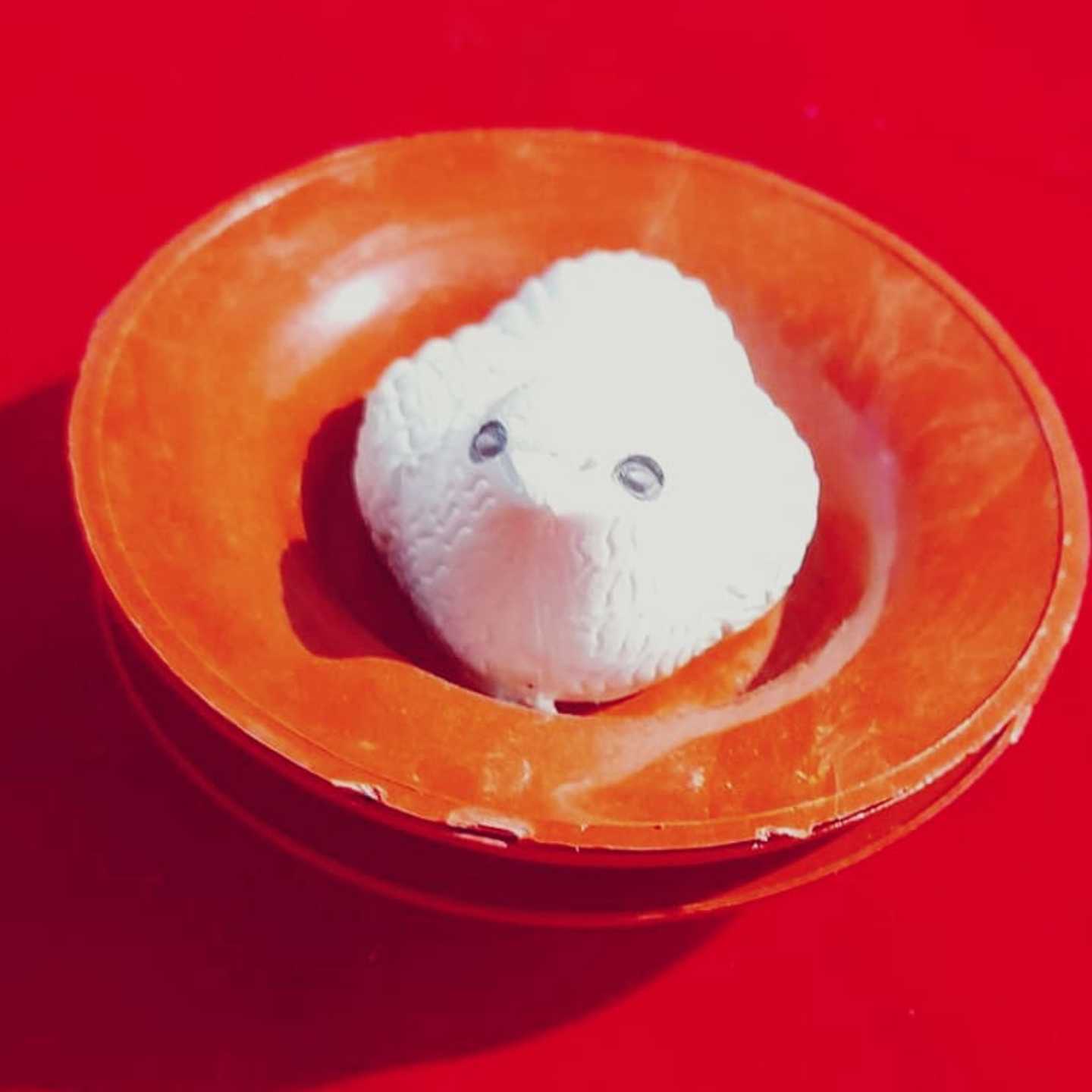 MAGIC BIRD
