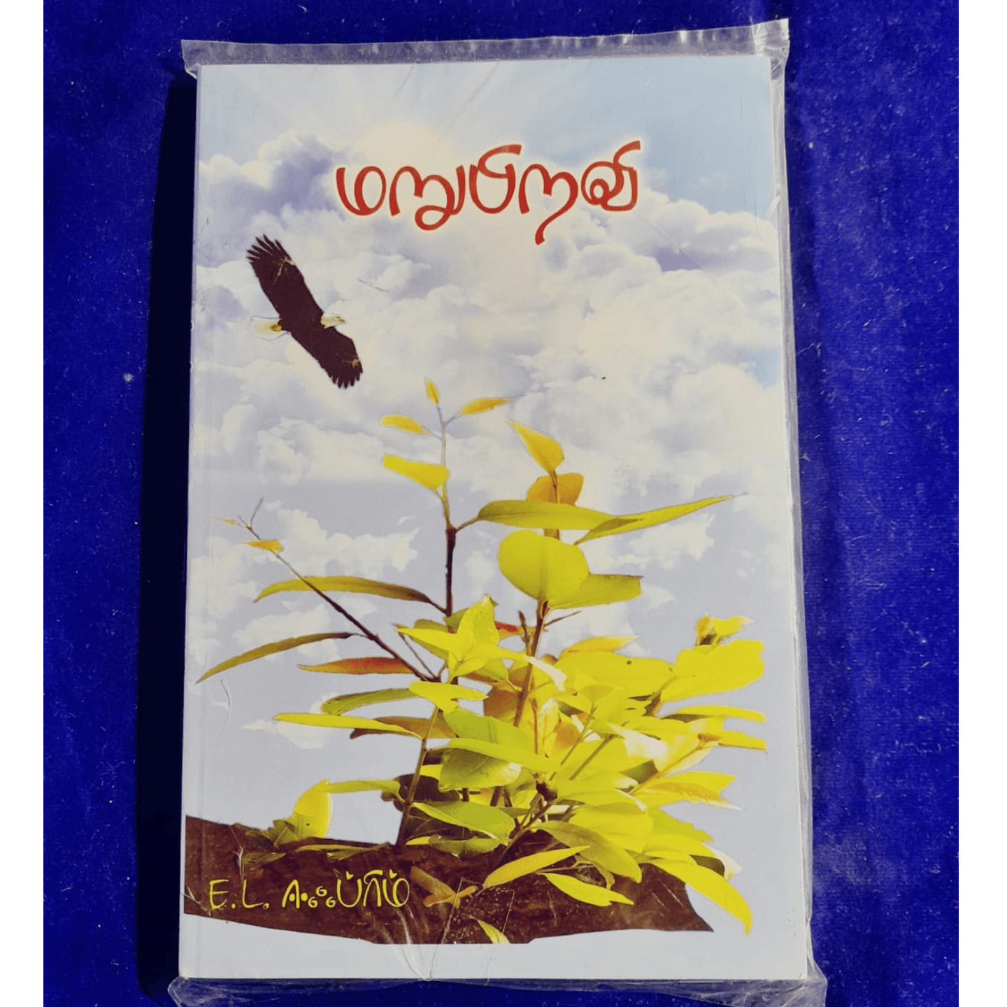 MARUPIRAVI