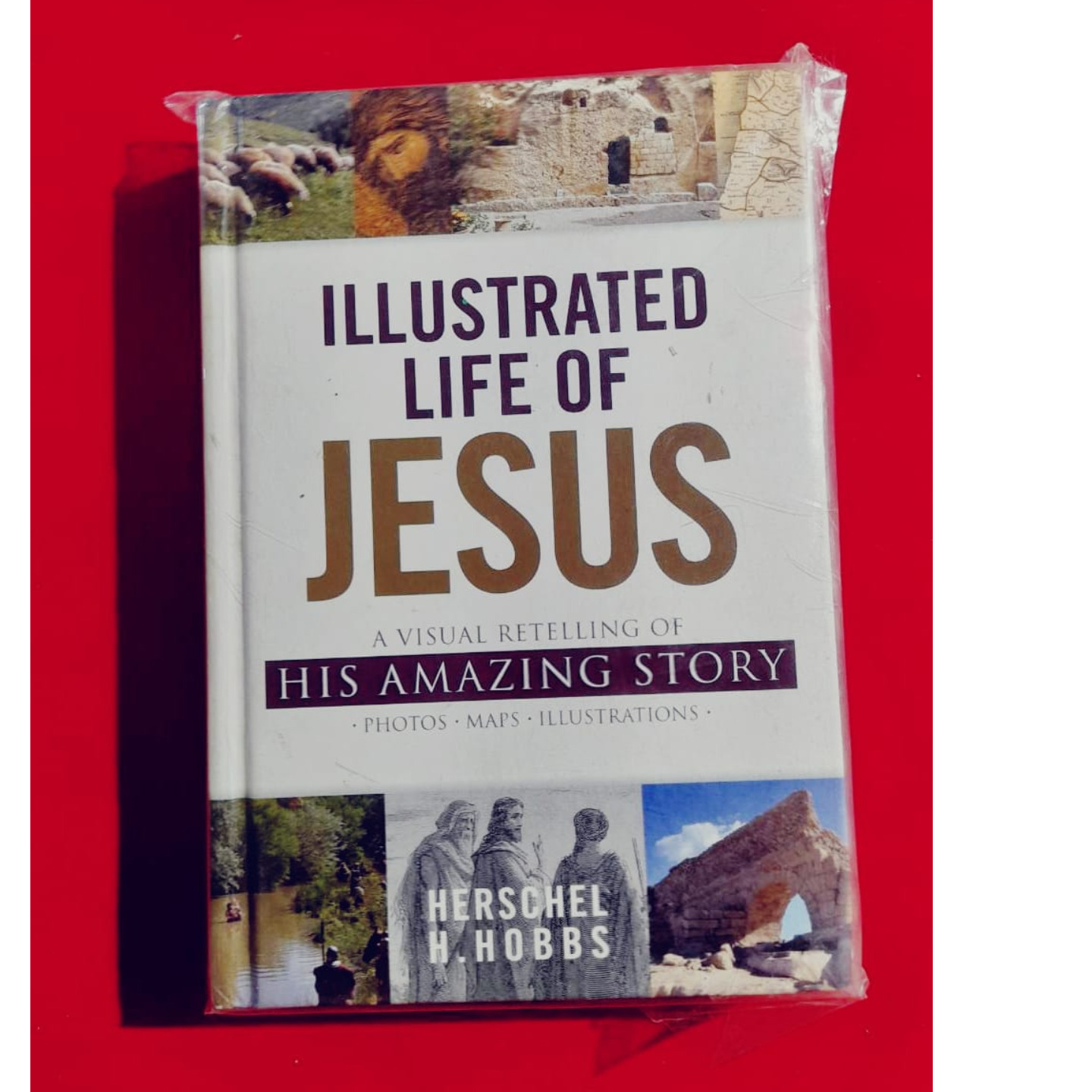 ILLUSTRATED LIFE OF JESUS
