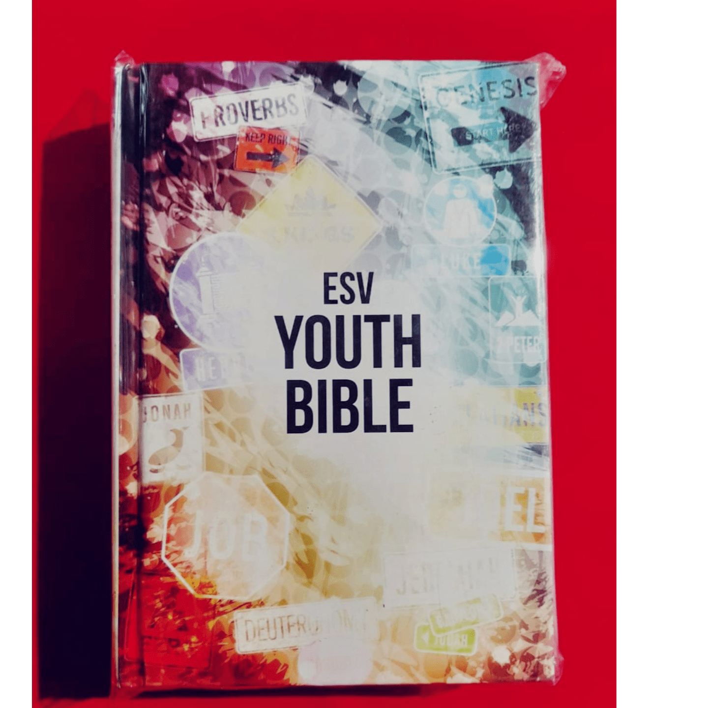 ESV YOUTH BIBLE